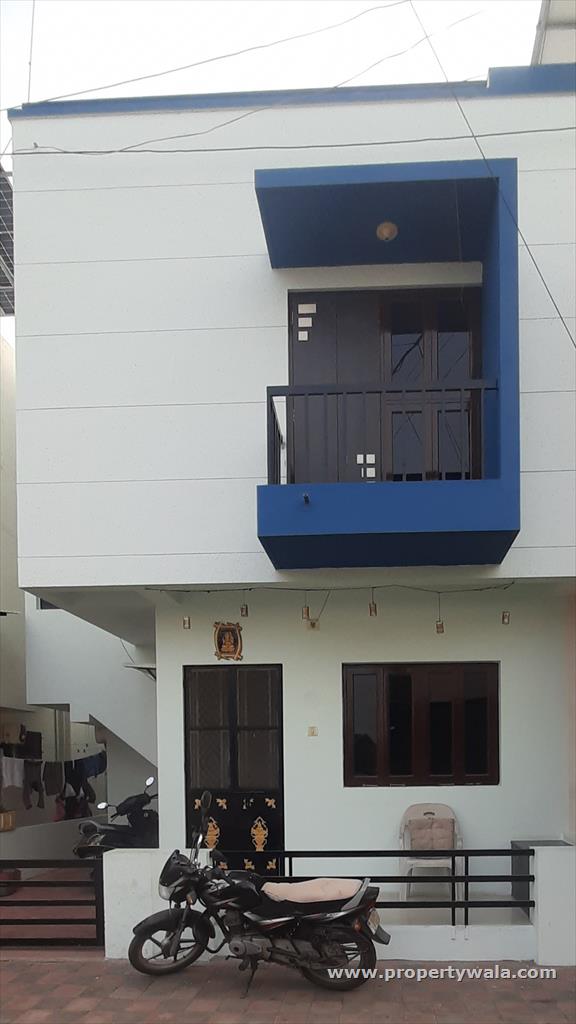 Front View