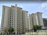 3 Bedroom Flat for sale in Tulip Yellow, Sector-70, Gurgaon