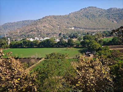 Agricultural Land for sale in Mhow, Indore