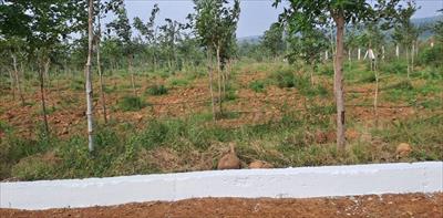 Commercial Land for sale in Sathyavedu, Chittoor