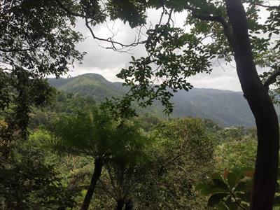 Agricultural Land for sale in Mundakkayam, Kottayam