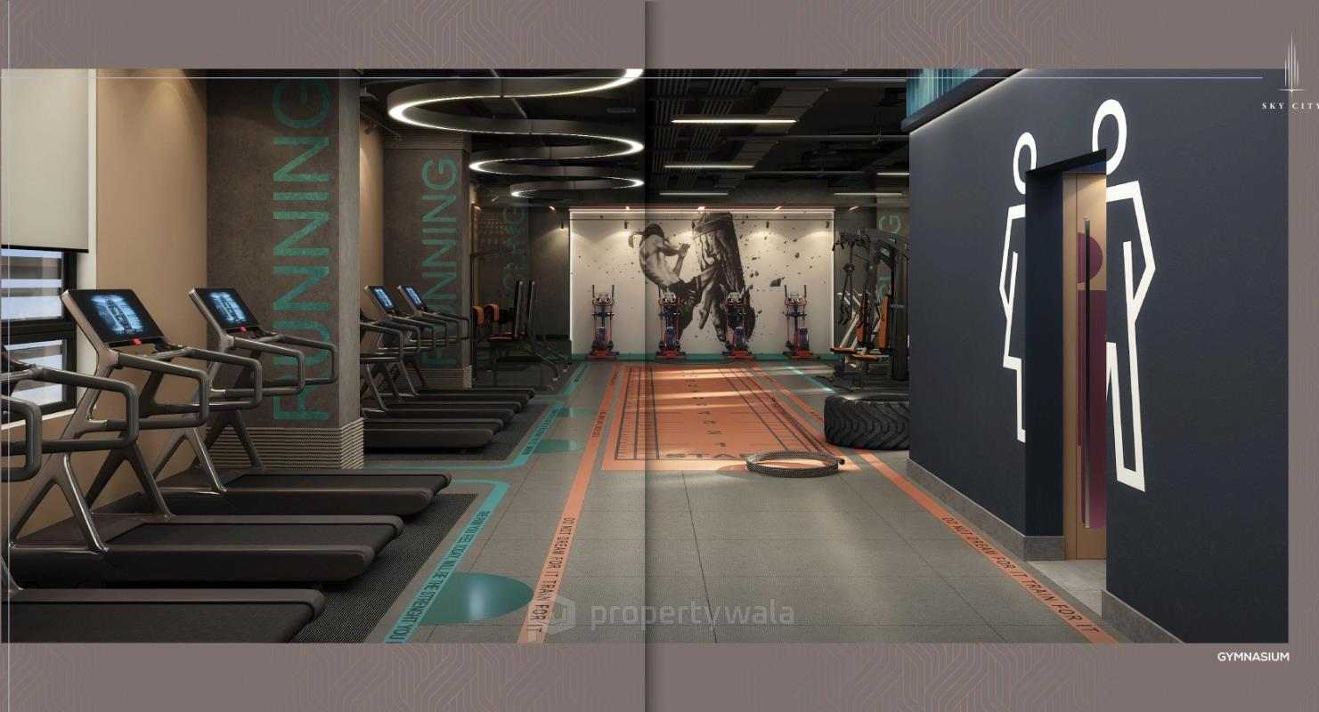 Gymnasium