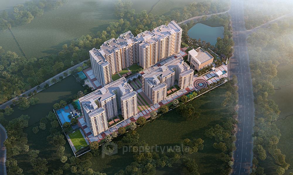 Project - Aerial View