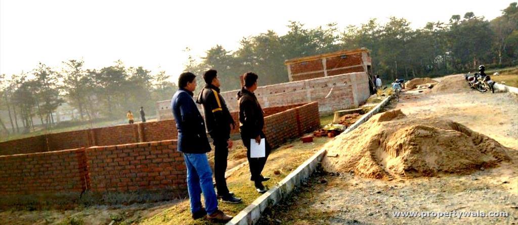 Project - plots