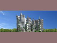 Semi Furnished Apartment in Amrapali Eden Park Sector 50 Noida