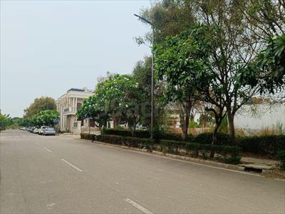 Land for sale in DLF Hyde Park, Mullanpur Garibdass, New Chandigarh