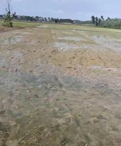 Agricultural Land for sale in Ramnagar, Nainital