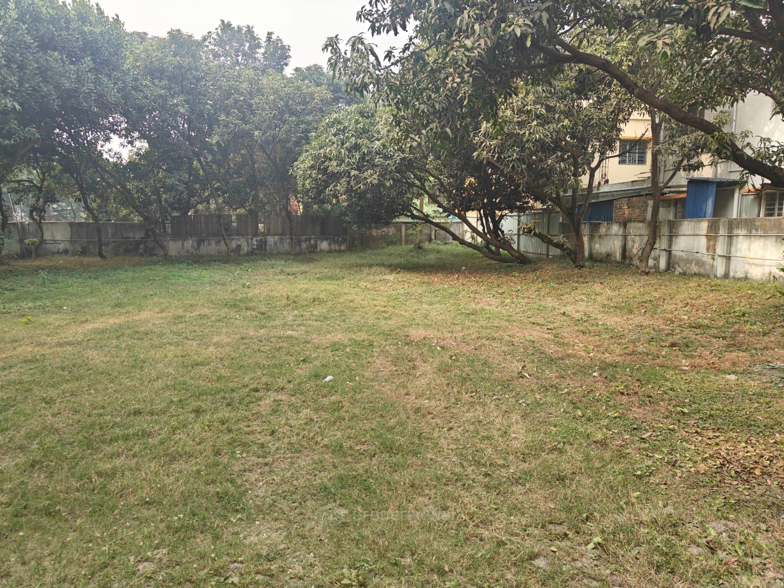 open view