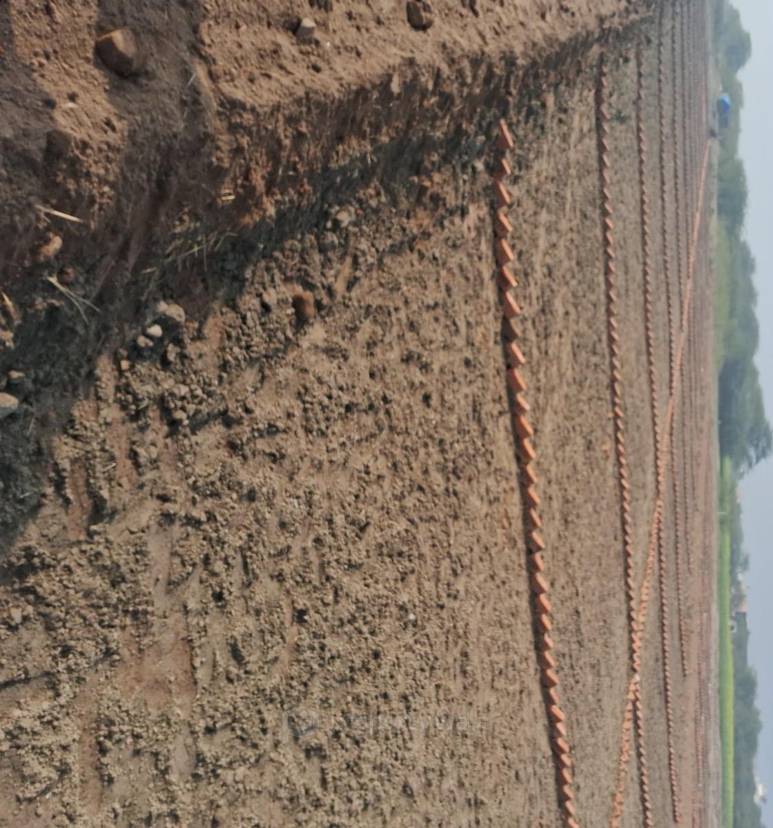 Sohna plot