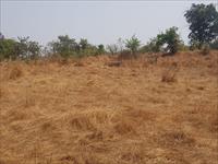 Agricultural Plot / Land for sale in Mandangad, Ratnagiri