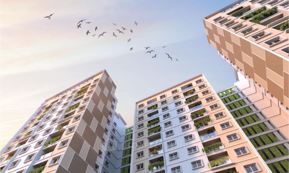 Project - Sky View
