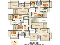 Orchid 1st & 3rd Floor Plan