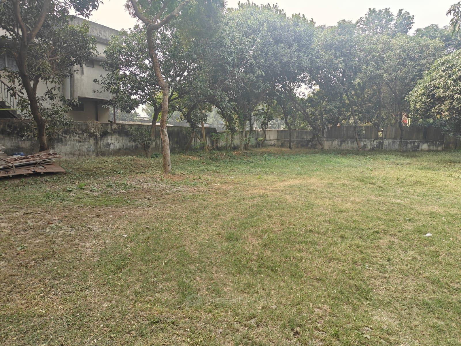 open view