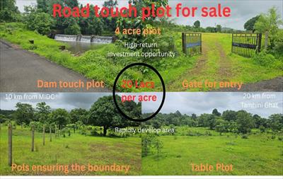 Agricultural Land for sale in Mangaon, Raigad