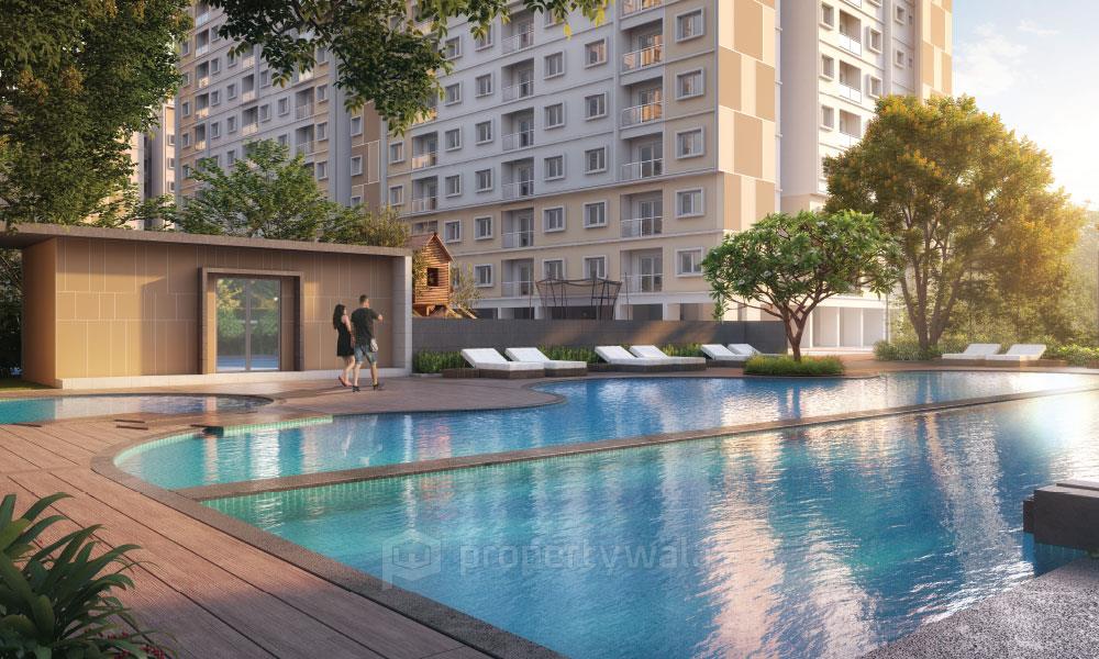 Project - Swimming Pool