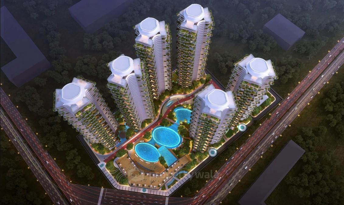Project - Night View