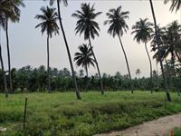 farm land for sale near Siruvani road