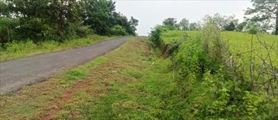 Agricultural Land for sale in Mangaon, Raigad