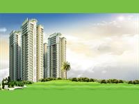 4 Bedroom Flat for sale in Dev Sai Sports Home, Noida Extension, Greater Noida