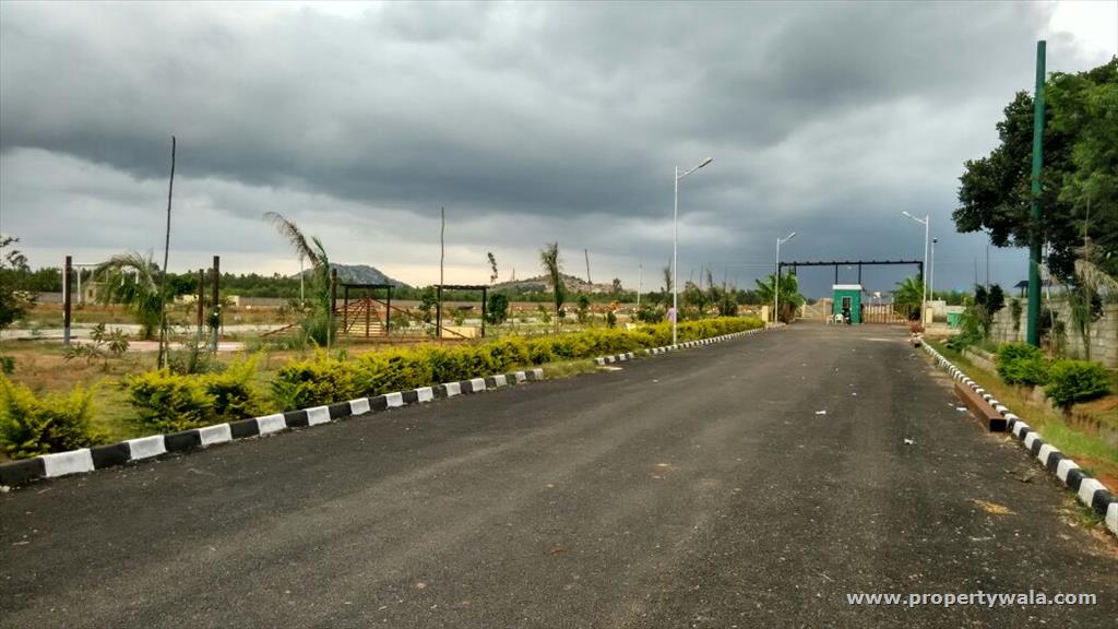 plot view