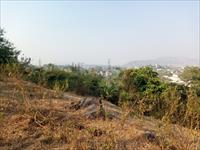 plot view