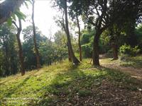 Agricultural Plot / Land for sale in Anaikatti, Coimbatore