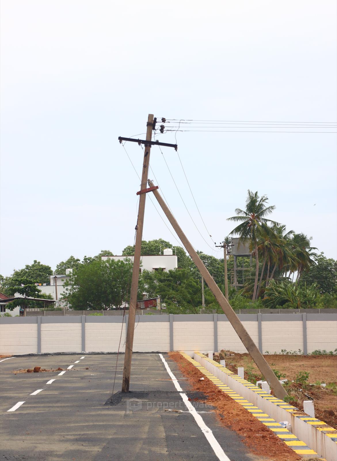 Street Light