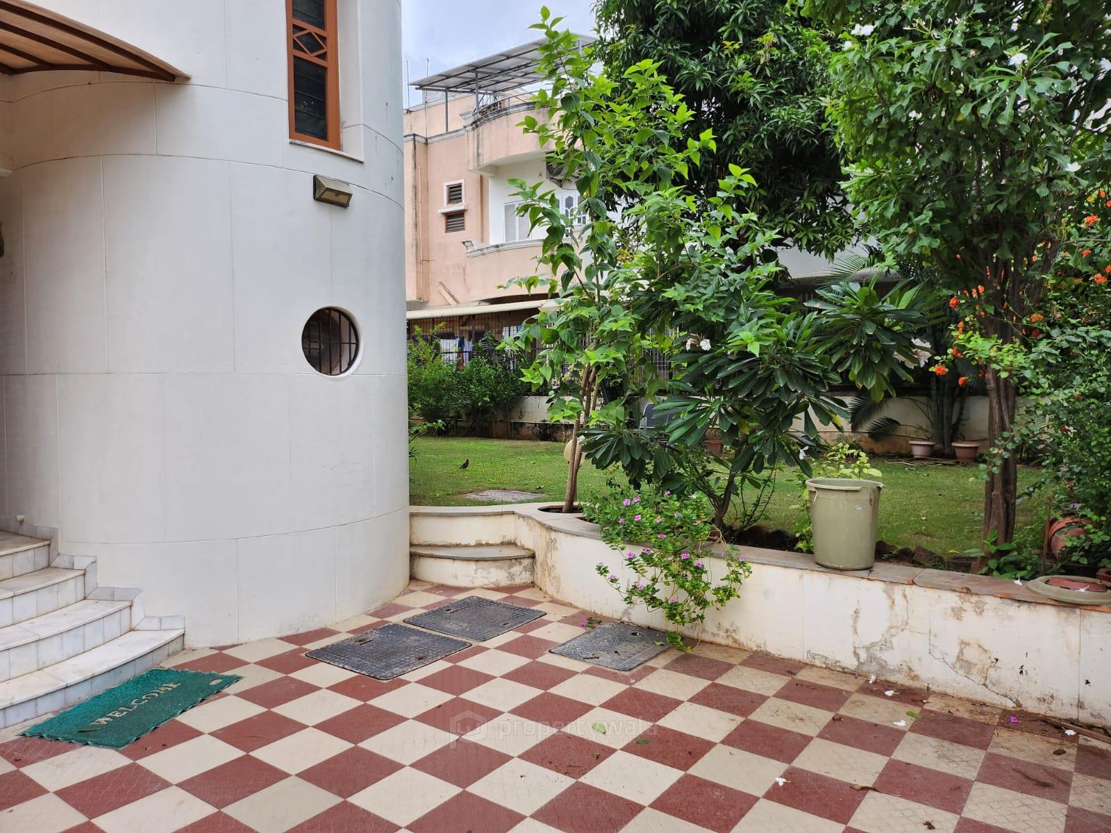 Front View