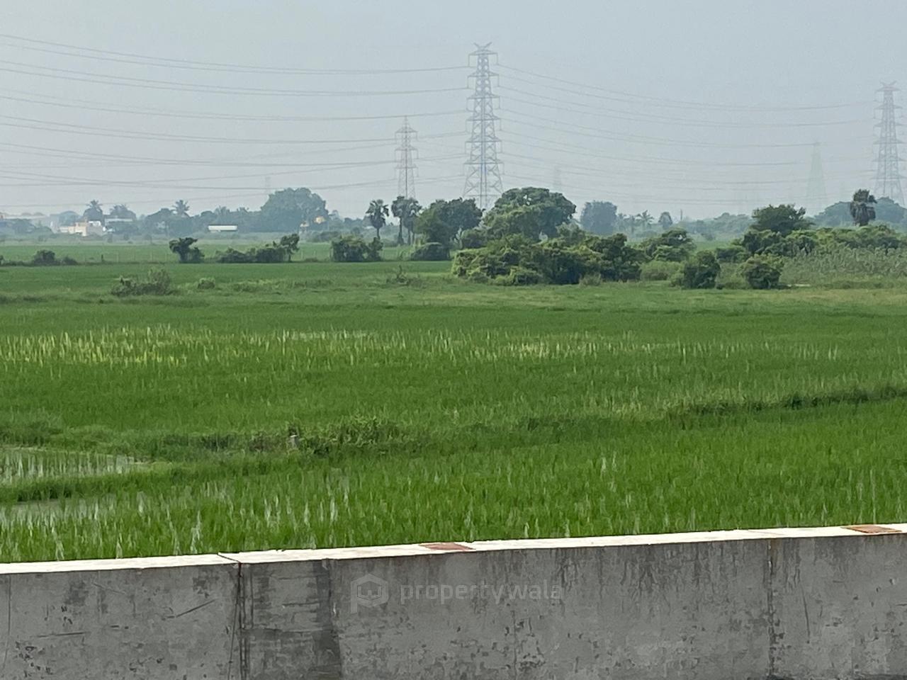 Land View