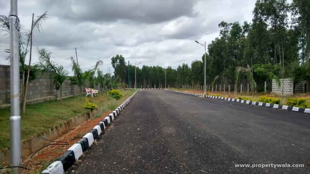 plot view