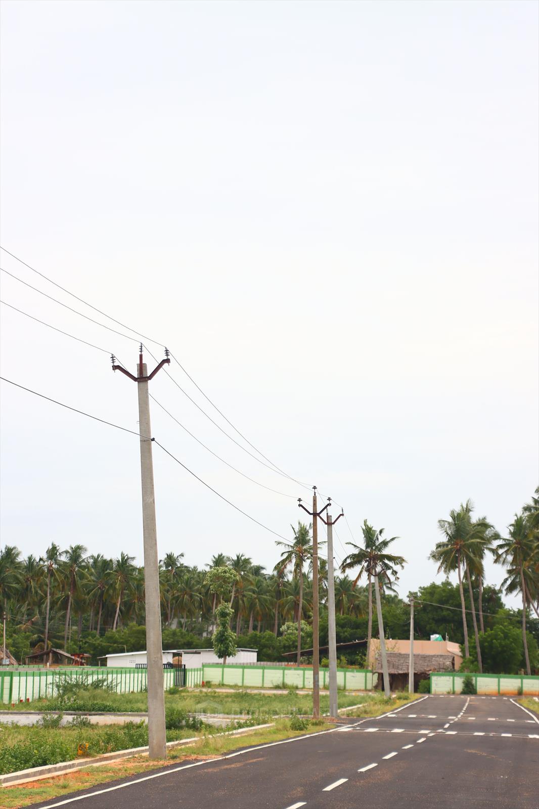 Street Light
