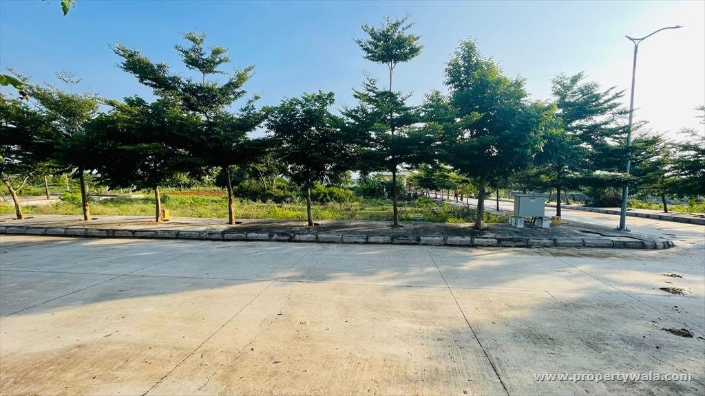 North Road View