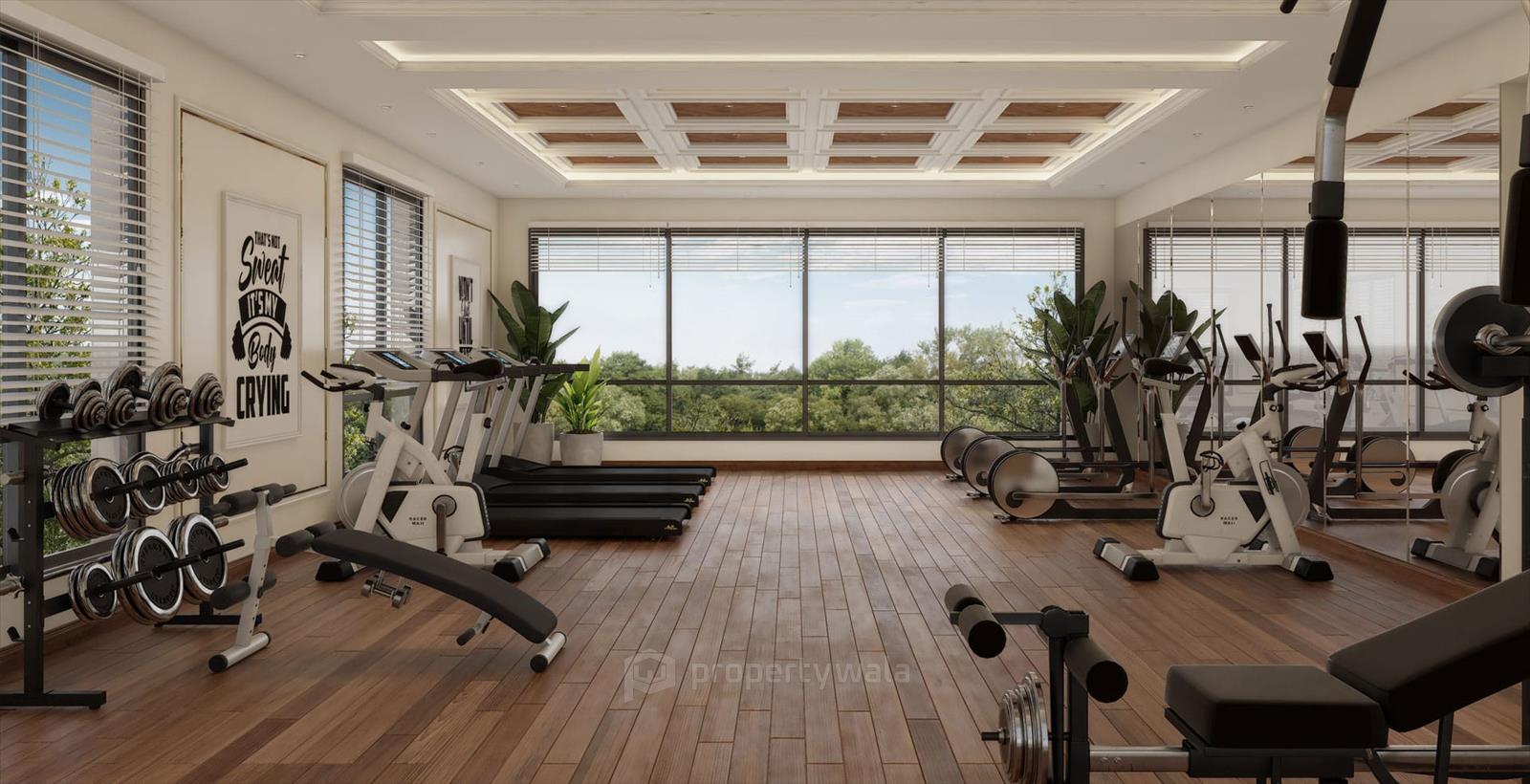 Gymnasium