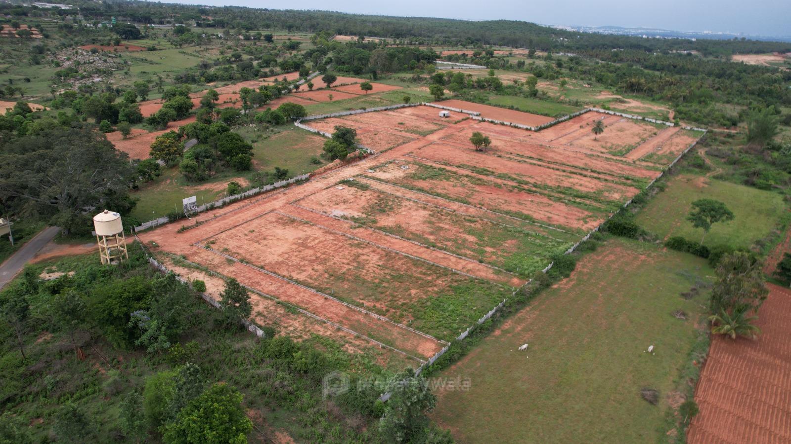 Project - Aerial View