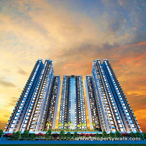 Project - Sky View
