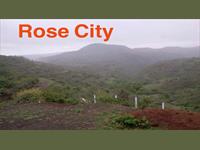 Land for sale in Temple Rose City Phase IV, Saswad, Pune