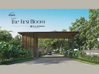 Land for sale in Assetz Codename The First Bloom, Devanahalli, Bangalore