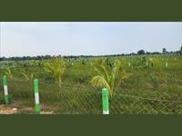 Agricultural Plot / Land for sale in Perumbakkam, Chennai