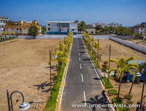 Plot View