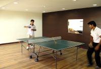 Table-Tennis Room