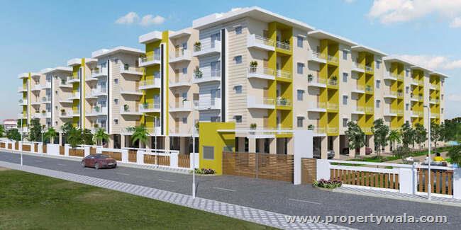 Project - Elevation
