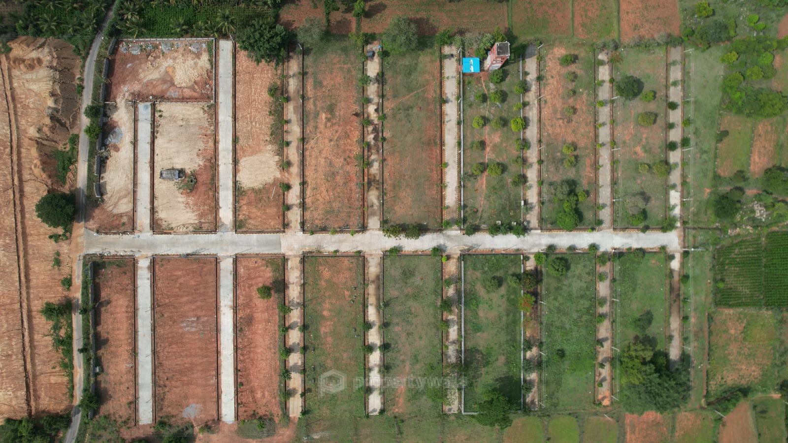Project - Aerial View