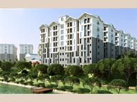 1 Bedroom Flat for rent in Xrbia Hinjewadi Road, Hinjewadi, Pune