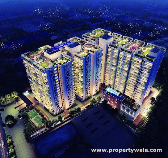 Night View