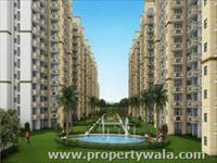 3 Bedroom Flat for sale in GLS Arawali Homes, Sohna, Gurgaon