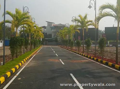 Road View
