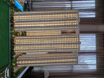 1 Bedroom Apartment for sale in Dwarka Expressway, Gurgaon