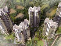 4 Bedroom Flat for sale in Pioneer Presidia, Golf Course Road area, Gurgaon