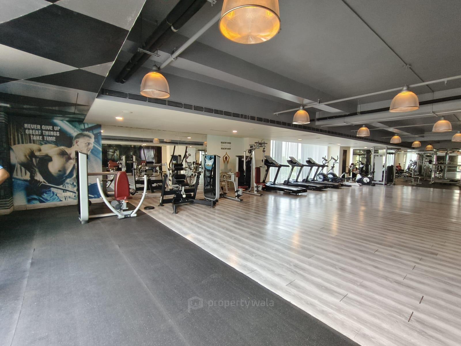 Gymnasium
