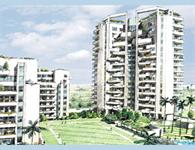 2 Bedroom Flat for sale in Silverglades The Ivy, Sushant Lok, Gurgaon